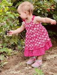 Growing Fruit:  All the Essentials!