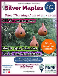 Silver Maples: Bottle Gourd Birdhouse