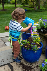 How to Fertilize Your Garden Plants