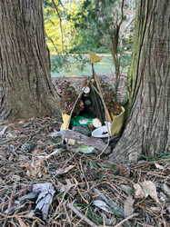 Fairy Houses