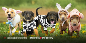 Operation Humane: State Fair