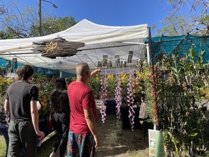 GROW Fort Myers & Orchid Symposium