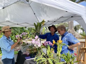Orchid Tour at Edison Ford