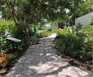 Garden Class: Shade Gardening