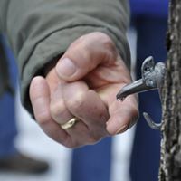 MacKenzie Center Maple Festival