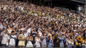 Georgia Tech Football White & Gold Game