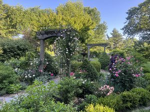 Johnson County Extension Master Gardener Public Garden Tour