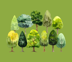The Importance of Trees