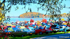 Dock Browns Car Show