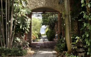 Playful Explorations in Nature