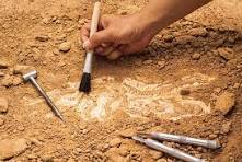 Archaeology Talk by Matt Lesniak