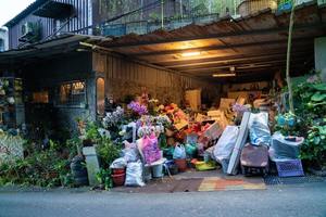 Understanding Hoarding: Beyond Clutter