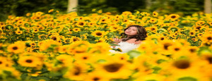 West Virginia Sunflower Festival