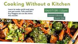 Cooking Without A Kitchen: Tofu And Stir Fry Veggies