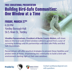 Building Bird-Safe Communities: One Window at a Time