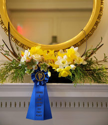 Daffodil Society of Rhode Island Preview Party!