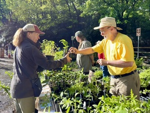 Native Plant Sale and Fundraiser
