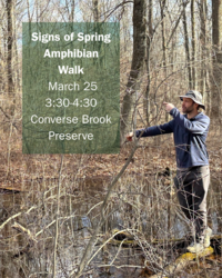 FREE! Signs of Spring Amphibian Walk