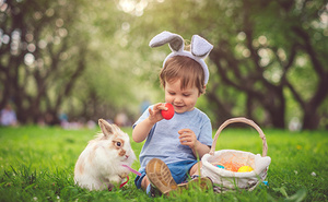 Pet Photos with the Easter Bunny at Queens Center
