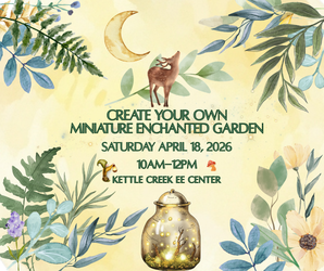 Fairy Garden Workshop
