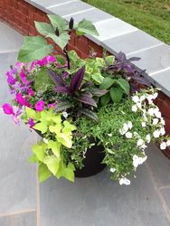 Mixed Container Workshop