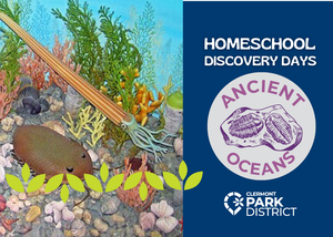 Homeschool Discovery Days: Ancient Oceans at Sycamore Park