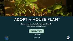 Adopt A House Plant