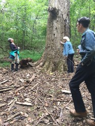 Naturalist Workshop: Into the Trees