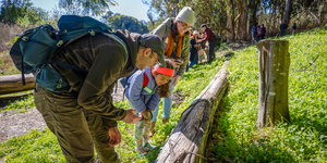 City Nature Challenge: Bioblitz at Lobos Creek with Bay Nature