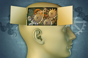 Promising Research for the Aging Brain