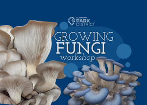Growing Fungi Workshop