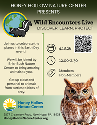 Wild Encounters Live! An Earth Day Celebration