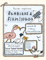 Florida Explorers: Seabirds + Flamingos