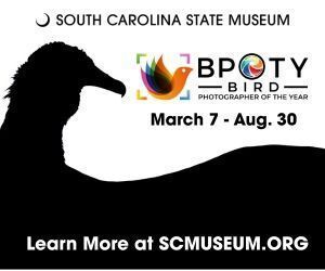 Bird Photographer of the Year