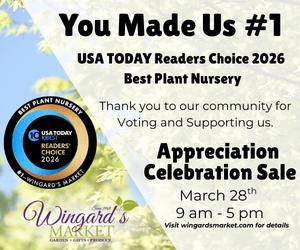 Wingards Appreciation Celebration Sale