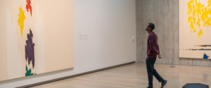 Beyond the Canvas Tour: Exploring the Exhibition
