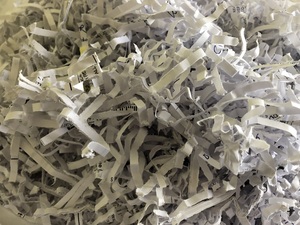 Paper Shredding Day
