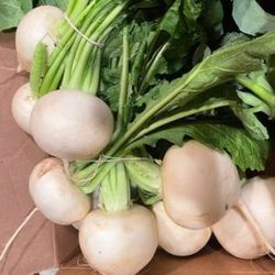 Savoring Spring Seasonal Cooking Class for Ages 21+ Friday