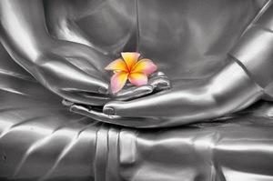 Tuesday Simply Meditate