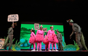 Alligators & Flamingos