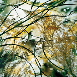 Teen Photography Workshop: Human Imprint on the Environment