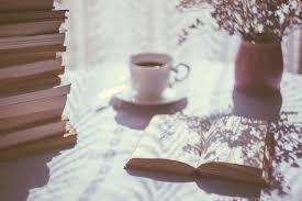 Cozy Fantasy Book Club at Vineland Public Library