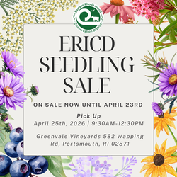 Eastern RI Conservation District Native Seedling Sale