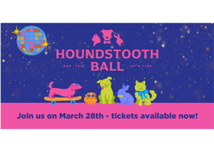 One Tail at a Time’s Houndstooth Ball