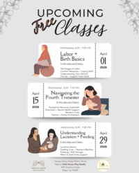 Understanding Lactation + Feeding