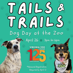 Tails & Trails: Dog Day at the Zoo