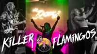Killer Flamingos