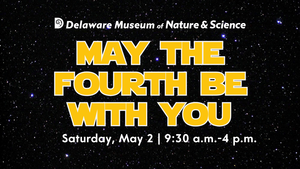 May the Fourth Be With You