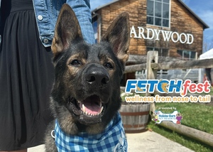 FETCH Fest