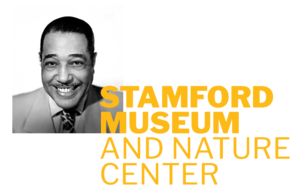 The History of Jazz in 80 Minutes